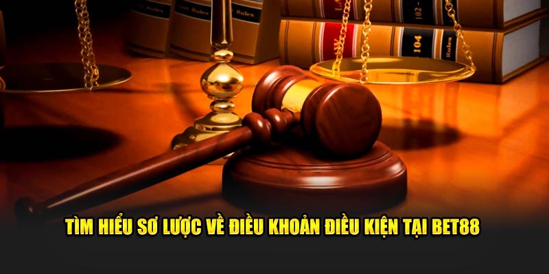 Điều khoản điều kiện tuân theo quy định pháp lý tại mỗi quốc gia
